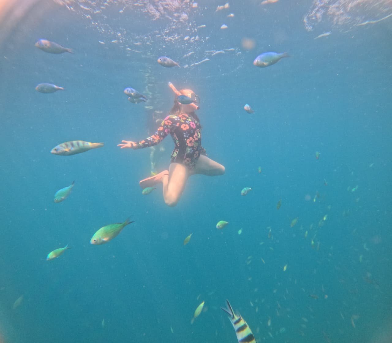 Anak snorkeling dikelilingi ikan