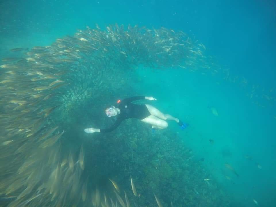 Wisatawan bersiap snorkeling